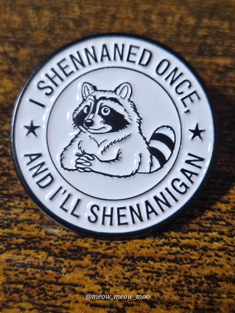 Raccoon Shenanigans Enamel Pin